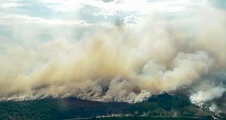 Notsituation. In Schweden w&uuml;ten derzeit zahlreiche Waldbr&auml;nde.