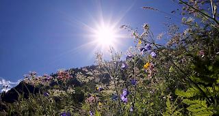 Nach der grossen Hitze in den letzten Tagen sind f&uuml;rs Wochenende auch im Wallis heftige Gewitter prognostiziert. 