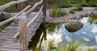 Qualit&auml;t. Der Wettbewerb &laquo;Garten- und Landschaftspreis Wallis 2018&raquo; will auch die Berufe der gr&uuml;nen Branche ins Szene setzen.(Symbolbild)
