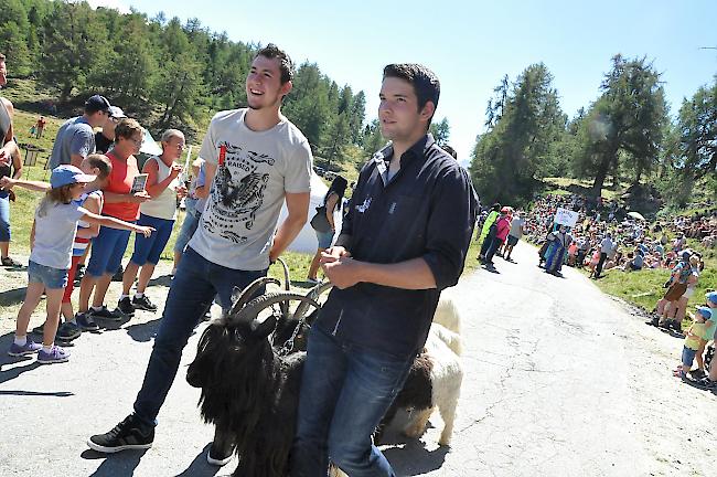 Impressionen des 50. Älplerfests auf der Moosalp.