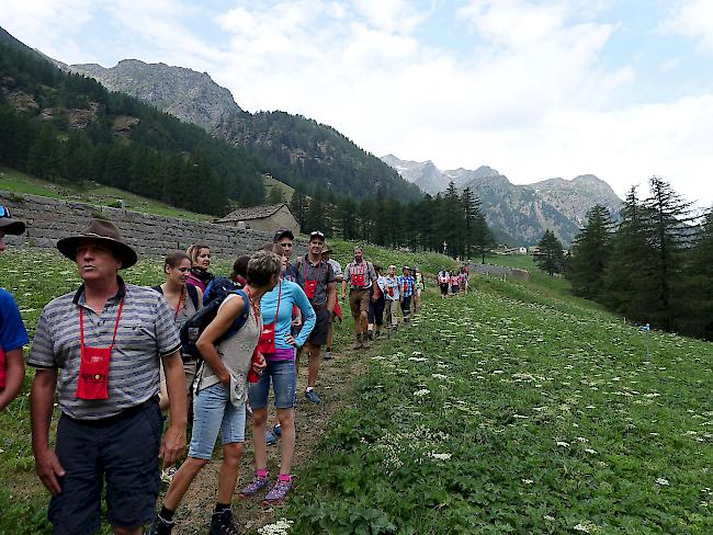 Scharenweise gings am 1. August auf dem Stockalperweg von Simplon bis nach Gondo.