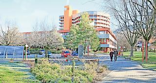 Antibiotikaresistent. Schweizer Spit&auml;ler k&auml;mpfen mit heimt&uuml;ckischen VRE-Bakterien. Im Wallis greifen die Massnahmen  gegen deren Ausbreitung.Foto wb