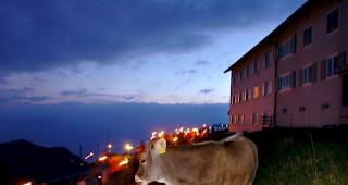 Ein Mahnfeuer auf der Rigi (Archiv)