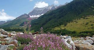 Ein herrlicher Hochsommer wird am Freitag zu einem Ende kommen.