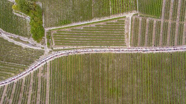 An der zweiten Auflage der Tavolata in Salgesch nahmen 360 Gäste aus der ganzen Schweiz teil. 