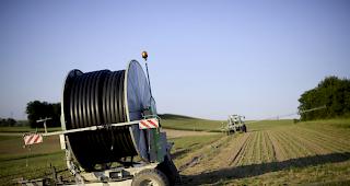 Aufgrund der anhaltenden Trockenheit sind viele Thurgauer Landwirtschaftsbetriebe auf Futterzuk&auml;ufe angewiesen.&nbsp;