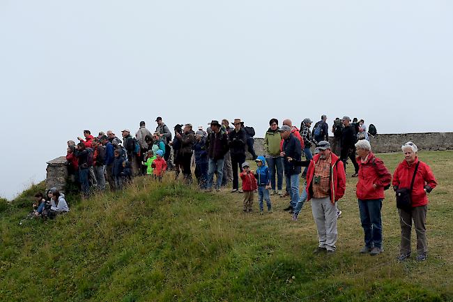 Die Gäste warten gespannt auf die Ankunft der Schafe