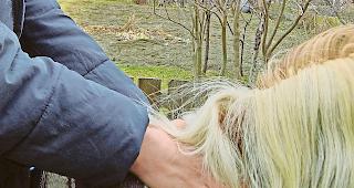 Beziehung aufbauen. Die Kinder sollen einen emotionalen Zugang zum Pferd finden.