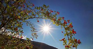 Wie bereits am Montag und am Dienstag konnte am Mittwoch in der Schweiz ein Hitzetag verzeichnet werden. In Sitten kletterte das Thermometer auf 30,8 Grad. Am heissesten war es in Genf mit 31,4 Grad.