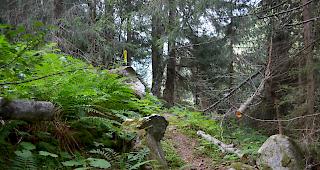 Pilgerweg. Ab Oktober wird der zerfallene Lengtalweg wieder hergerichtet. Die Er&ouml;ffnung ist im Fr&uuml;hjahr 2019 geplant.