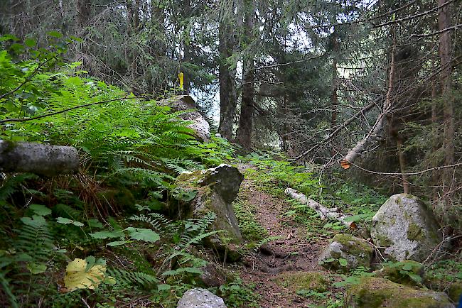 Pilgerweg. Ab Oktober wird der zerfallene Lengtalweg wieder hergerichtet. Die Eröffnung ist im Frühjahr 2019 geplant.