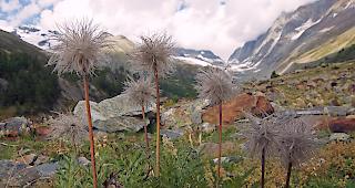 Kommende Woche ist ein deutlich herbstlicheres Temperaturniveau wahrscheinlich.