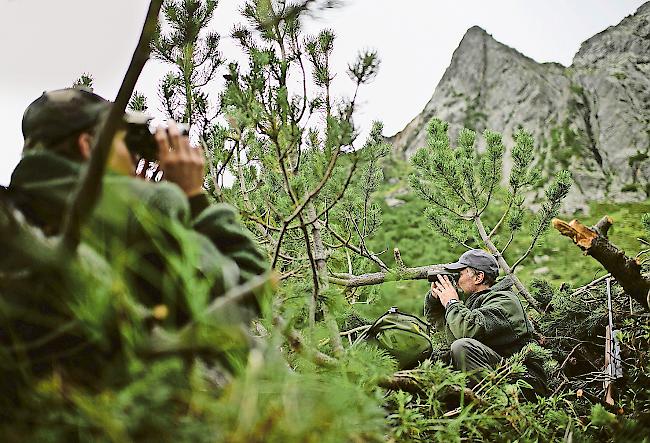 Auf der Pirsch. Ab dem kommenden Montag befinden sich im Wallis rund 2400 Jäger und Jägerinnen auf der Hochjagd.