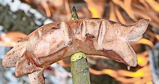 Grillsaison. Gr&ouml;ssere Ausf&auml;lle in der Talebene.