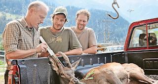 Die Walliser Nachjagd ist beendet: In vier von acht Zonen im Ober- und Unterwallis sind die Jagdziele erreicht worden. (Symbolfoto)