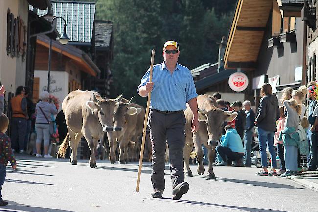 Impressionen vom Alpabzug in La Fouly im Val Ferret. 