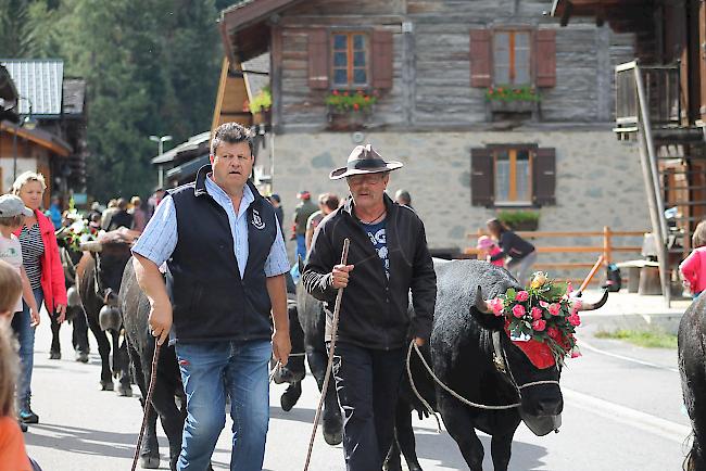 Impressionen vom Alpabzug in La Fouly im Val Ferret. 