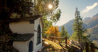 Die typische herbstliche Blattverf&auml;rbung setzt erst im Oktober grossfl&auml;chig ein. 