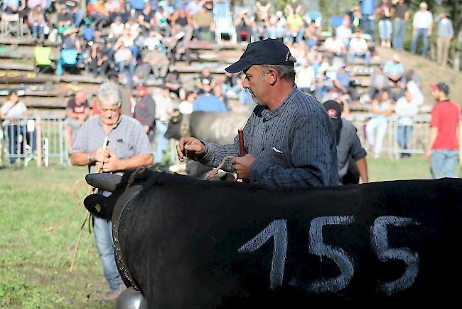 Mit dem Herbstmatch im Goler ist die neue Stechfestsaison 2018/2019 auch im Oberwallis lanciert worden. 