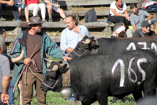 Mit dem Herbstmatch im Goler ist die neue Stechfestsaison 2018/2019 auch im Oberwallis lanciert worden. 