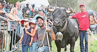 Kategorie 1. Marc (kniend) und Mario J&auml;ger mit Liora und Lorena mit &laquo;Tokyo&raquo;.