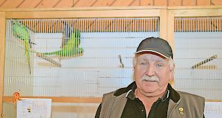 Stolz. OK-Pr&auml;sident Leo Manz aus Brig-Glis erzielte mit seinen beiden Halsbandsittichen die h&ouml;chste Punktzahl der Ausstellung.Foto WB