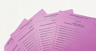 Ganz in Lila. Im Oberwallis (Bild: Listen des Unterwahlkreises Brig) werden 34 Frauen und M&auml;nner in den Verfassungsrat gew&auml;hlt.Foto wb