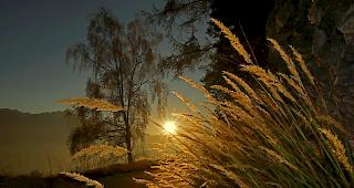 Ab Samstag geh&ouml;rt der goldene Herbst der Vergangenheit an. In den kommenden Tagen herrscht ausgesprochen tr&uuml;bes, sehr nasses und deutlich k&auml;lteres Wetter vor (Archivbild).