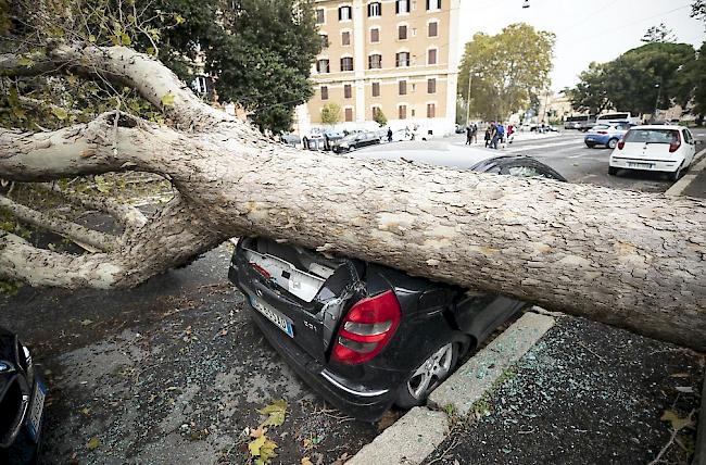 Aufgrund des starken Windes sind Bäume auf die Strasse gestürzt.