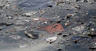 Das Wrack liegt in etwa 35 Meter Tiefe auf dem Grund der Javasee.