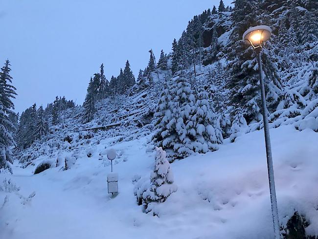 Heftig. Am Montagabend begleiteten extrem starke Winde die aussergewöhnlichen Niederschläge und sorgten lokal wie hier auf der Riederalp für Waldschäden.