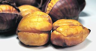 Die Qualit&auml;t von Kastanien ist nicht immer die beste.