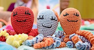 Ziel des Vereins Oktopus f&uuml;r Fr&uuml;hchen ist, dass jedes Fr&uuml;hchen in der Schweiz einen solchen Tintenfisch erh&auml;lt.