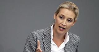 Dubiose Spendengelder.&nbsp;Im vergangenen Jahr hat eine Schweizer Pharmafirma rund 130'000 Euro an Weidels (Bild) AfD-Kreisverband Bodensee &uuml;berwiesen. Das Geld sei zur&uuml;ckgezahlt worden, betonte nun die Fraktionschefin.