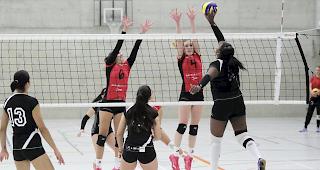 VBC Visp: 1.3-Niederlage gegen den VBC Gerlafingen.