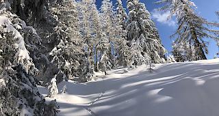 Am Sonntag k&ouml;nnte es f&uuml;r viele ein weisses Erwachen geben.