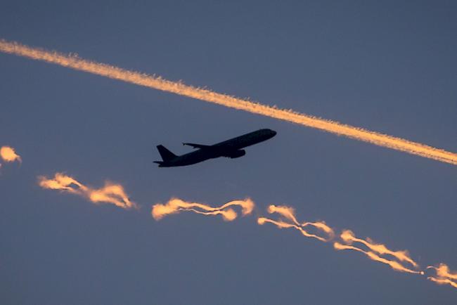 Die Grünen prüfen derzeit die Vorbereitung einer Volksinitiative für die Einführung einer Flugticketabgabe. 