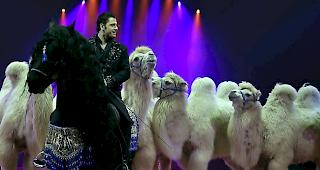 Grosse Tradition. Der Circus Knie z&auml;hlt zu den &auml;ltesten Zirkus-Dynastien Europas.