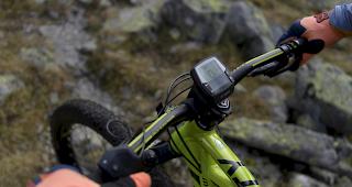 Punkto Absatzsteigerung waren die E-Mountainbikes erneut Spitzenreiter.