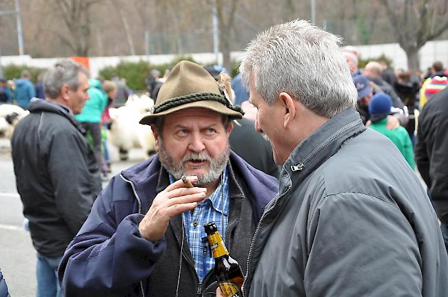 Impressionen zum Widdermarkt des Oberwalliser Schwarznasenschaftzuchtverbands beim Sepp-Blatter-Schulhaus in Visp.