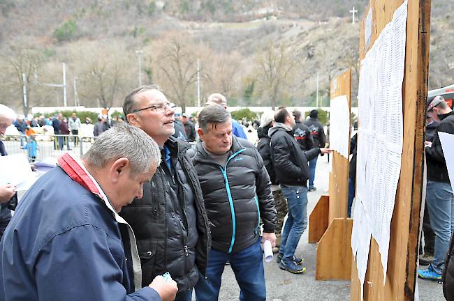 Impressionen zum Widdermarkt des Oberwalliser Schwarznasenschaftzuchtverbands beim Sepp-Blatter-Schulhaus in Visp.