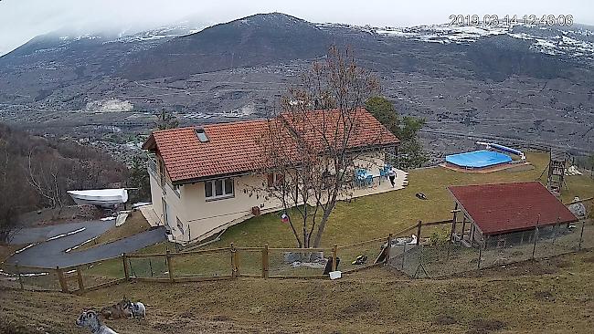 Eine Überwachungskamera filmt den Angreifer im Ziegen-Gehege nur wenige Meter vom Haus entfernt.