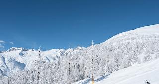 Bellwald Tourismus hat im vergangenen Jahr  zahlreiche Projekte und Aktivit&auml;ten umgesetzt. Markanteste Ver&auml;nderung erlebte die Homepage, welche nach rund f&uuml;nf Jahren ein Refresh erlebte. 
