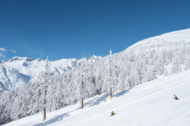 Bellwald Tourismus hat im vergangenen Jahr  zahlreiche Projekte und Aktivitäten umgesetzt. Markanteste Veränderung erlebte die Homepage, welche nach rund fünf Jahren ein Refresh erlebte. 
