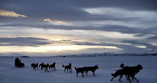 Zu warm. In vielen St&auml;dten Alaskas werden derzeit reihenweise neue Rekordtemperaturen gemessen.