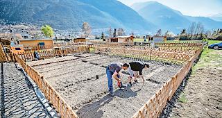 Hobbyg&auml;rtner. Die frischen, 100 Quadratmeter grossen Erdreiche werden jetzt einges&auml;t und bepflanzt: Seit letztem Freitag gibts fliessendes Wasser f&uuml;r alle.