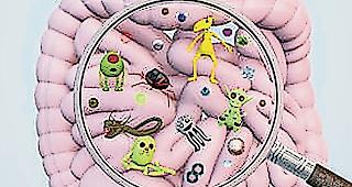 Wichtige Funktion. Das Mikrobiom ist f&uuml;r den richtigen Ablauf zahlreicher  K&ouml;rperfunktionen verantwortlich.