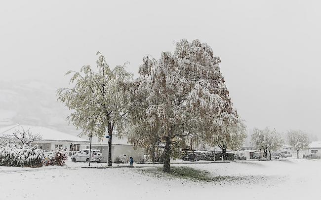 Unverhoffte weisse Pracht am 4 Apriltag