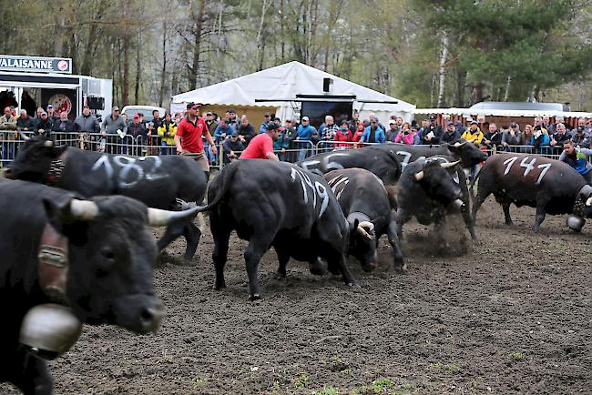 Impressionen vom ersten Frühjahrsmatch 2019 im Rarner Goler. 