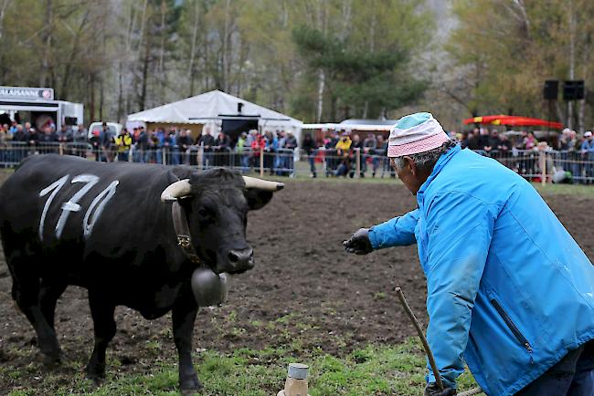 Impressionen vom ersten Frühjahrsmatch 2019 im Rarner Goler. 